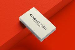 Visitenkarten 4/4C - BIOTOP Creme 300gr