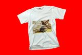 Vereins Shirts - Transfer Hell oder Dunkel EXPRESS