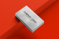 Visitenkarten 4/4C - GC Metallic Silber 260gr