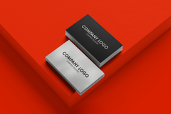 Visitenkarten 4/4C - GC Metallic Silber 260gr