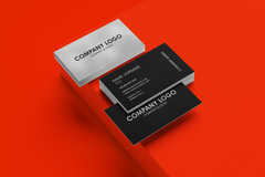 Visitenkarten 4/4C - GC Metallic Silber 260gr